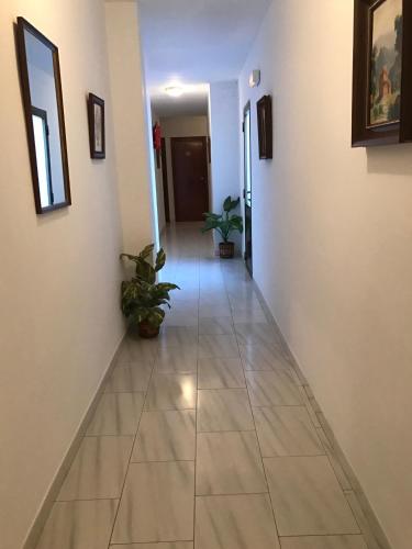 Hostal Restaurante Rufino in Berlanga