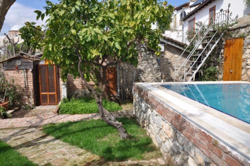 Garden House - image 2