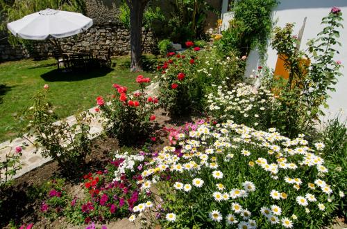 Garden House - image 7