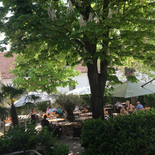 Kert, Wildenauer's in Rothneusiedl