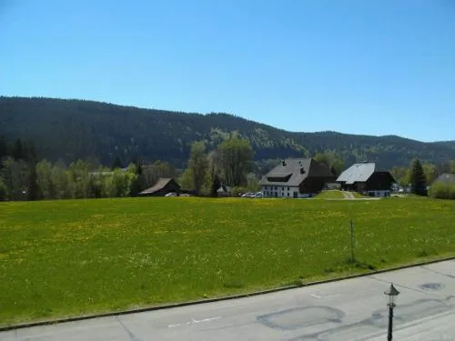 Hotel Rheingold Garni in Titisee-Neustadt, Deutschland