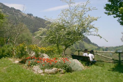 Los Acebos de Pena Cabarga