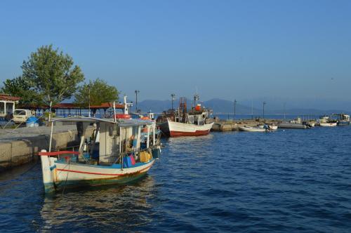 Kryoneri village - image 8