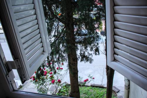 Apartment W - image 4
