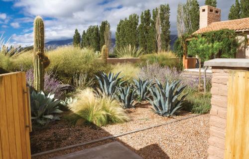 Adobe Charm, Cafayate (foto 9)