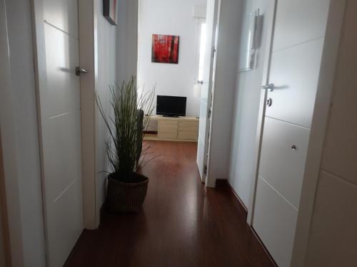 Málaga Apartamentos - Pozos Dulces, 22, Málaga (photo 7)