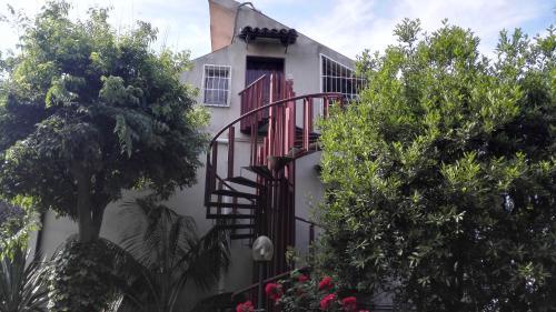 Lucrezia Loft Garden Catania - image 8