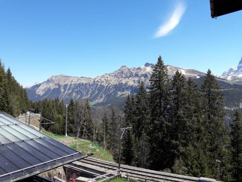 Hotel Alpenblick Mürren - image 8