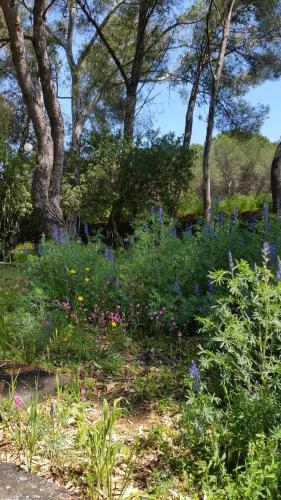 Villa Morgante B&B – Pedara, CA