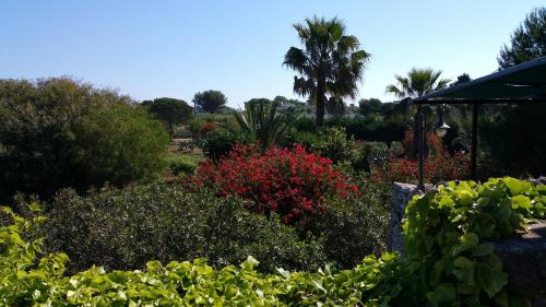 Masseria Serine Masseria Serine