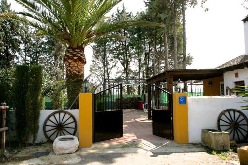 Casa Rural el Canal - image 11