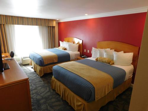 City Express by Marriott Placentia Anaheim Room Type - Standard Room, 2 Queen Beds