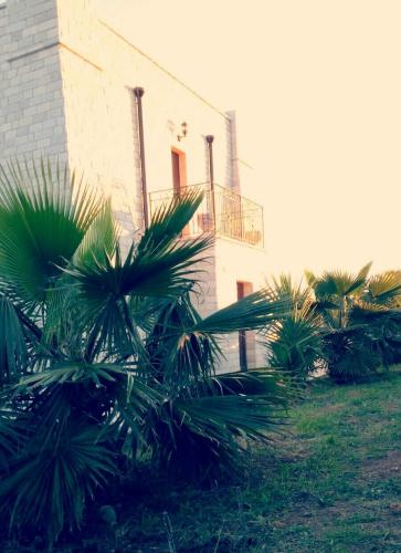 Albadido - image 7