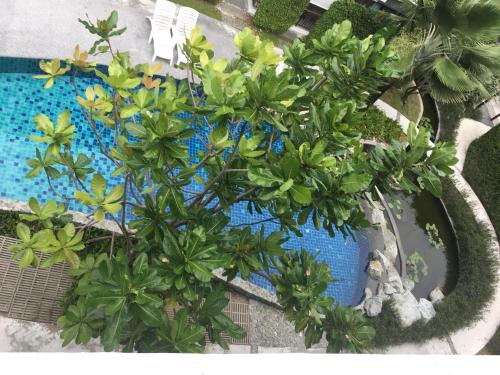 %name คอมฟอทเทเบิ้ล เรซิเดนซ์ ภูเก็ต