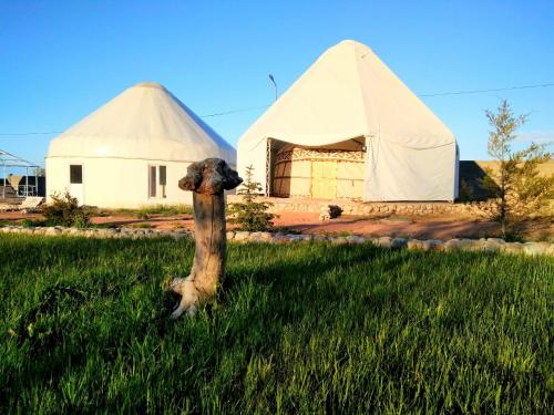 Apkārtne, Yurt camp Meiman Ordo in Bulan Sogottuu