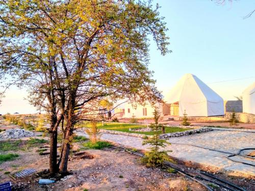 Ieeja, Yurt camp Meiman Ordo in Bulan Sogottuu