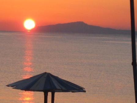 Sacallis Inn Beach Hotel - image 5