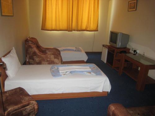 Family Hotel Familya - image 13