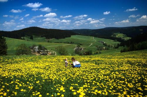 Hotel Waldeck - image 4