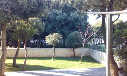 Apartment Basic - image 10