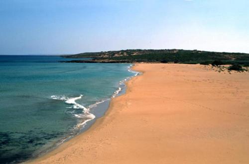 Agriturismoeloropizzuta - Photo 3