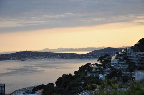 SKYLINE Apartments - Location saisonnière - Cap-d'Ail