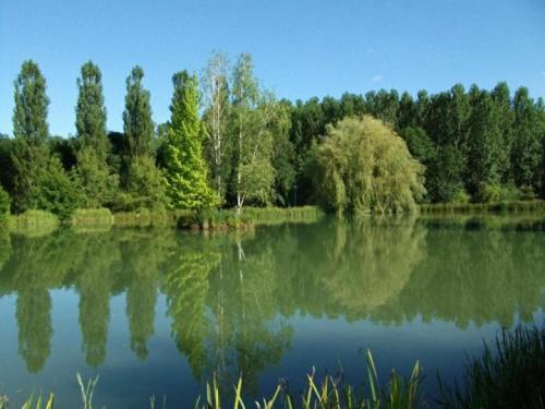 Le Domaine de L'étang de Sandanet - main image