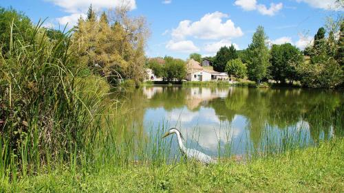 Le Domaine de L'étang de Sandanet - image 5