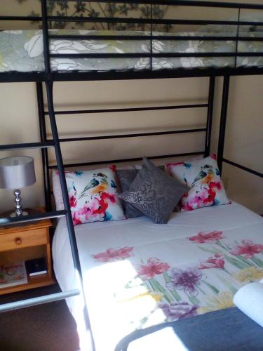 Pride Rock Accommodation, Middelburg (foto 7)