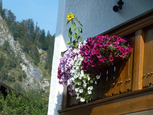 Haus im Kurpark - Apartment - Reit im Winkl