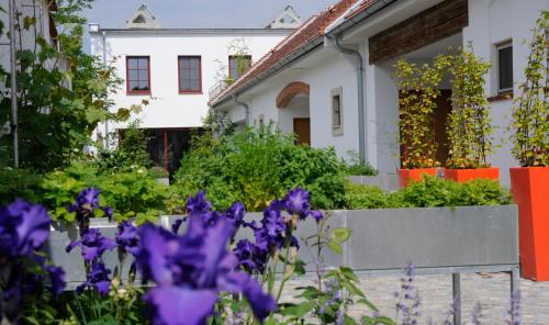  Genuss Am Hof, Halbturn bei Frauenkirchen