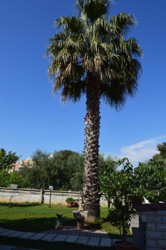 Biblos e Mare, Taranto (Foto 5)