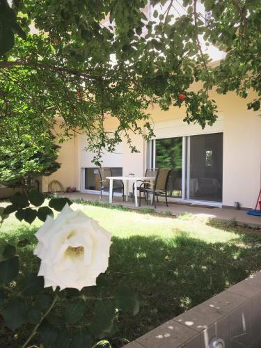  Rose Garden in Kalamata