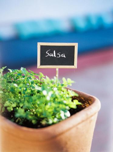 Conversas DE Alpendre