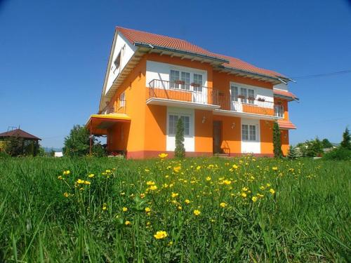 Vila Vlad