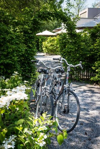 Marcel de Gand Business & Travel - image 3