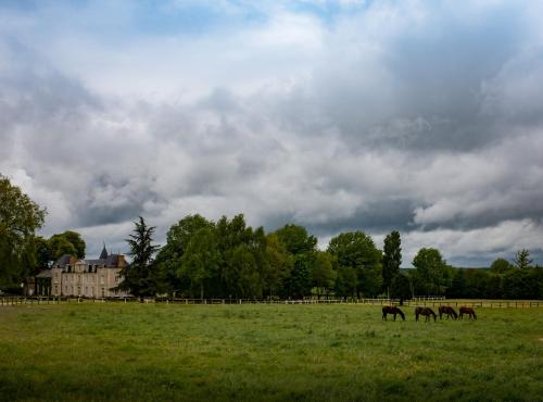 Hotel Haras De La Potardiere