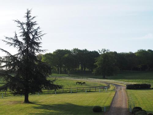 Hotel Haras De La Potardiere