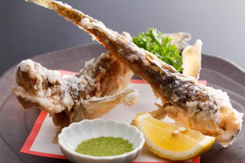 Hotel Tango Nakamura So – Miyazu, IL