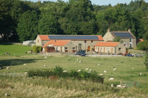Rawcliffe House Farm Studios, Peaceful North York Moors Retreat - Stape