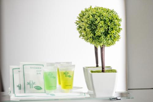 나투라 호텔