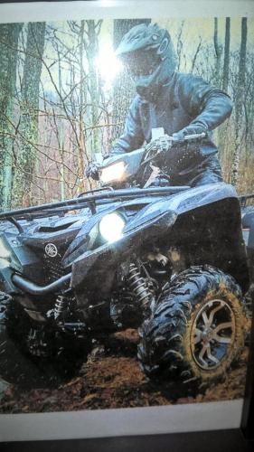 Funny-Farm - image 7