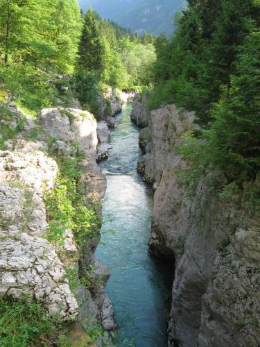 Apartma pod Rožem