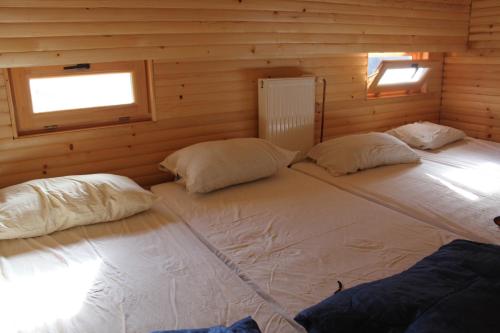 Dzajicaa Buk Rooms - Noahs Ark Dzajicaa Buk Rooms - Noahs Ark