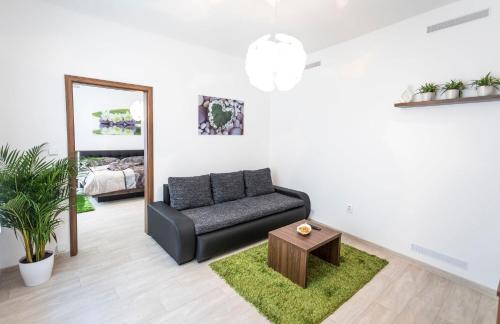Apartmán Dolní náměstí
