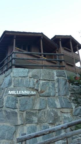 Millennium top view - image 4