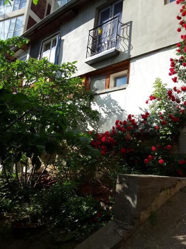 Diana Guesthouse