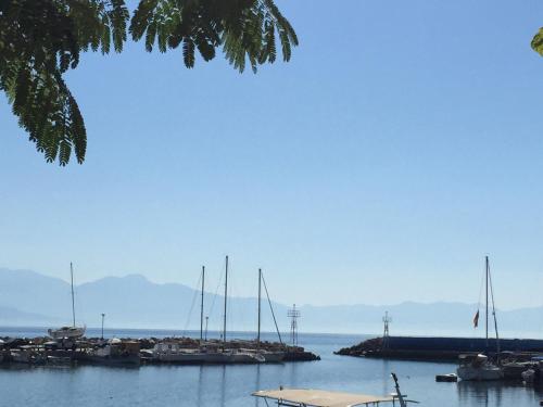 Akroyali Hotel & Villas - main image