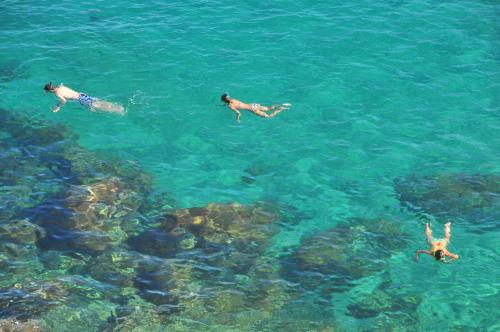 Camping Cala Nova – Es Canar, NJ