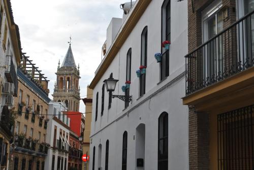 Triana Pelay Suites 4